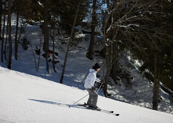 酒店 克莱恩蒙塔纳六善酒店